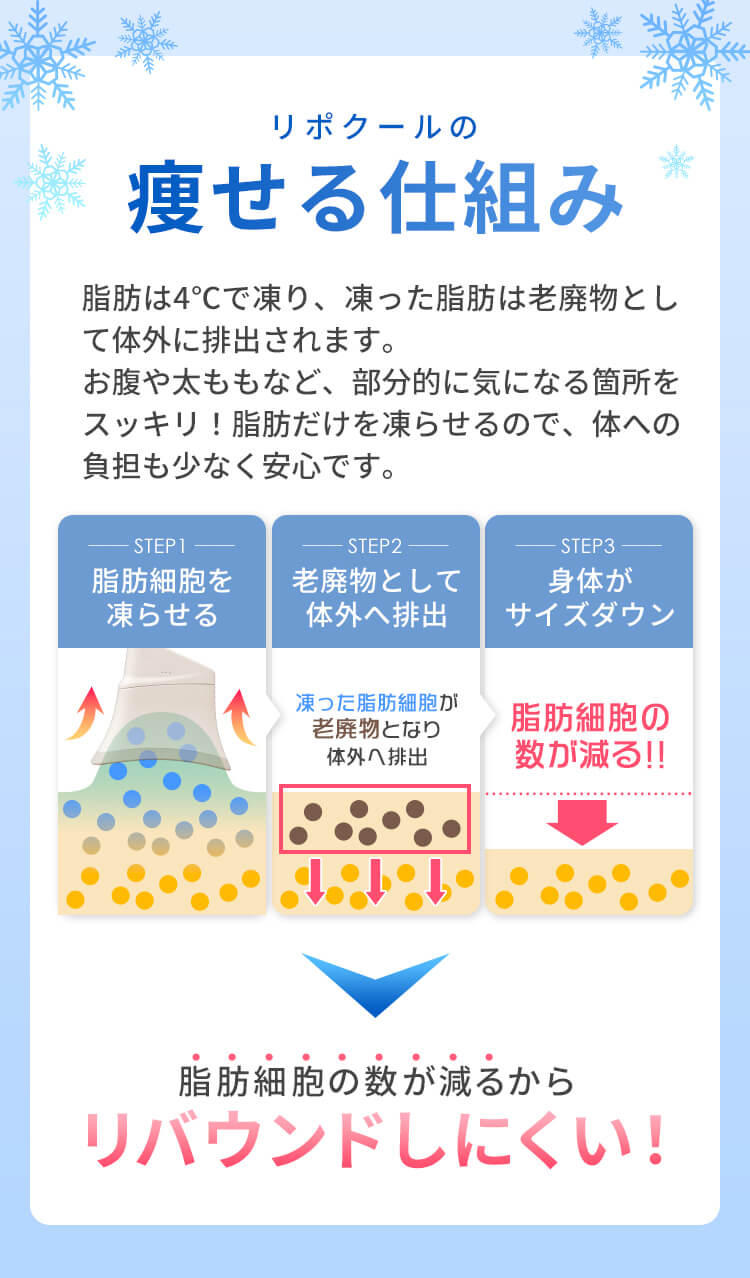 脂肪細胞の数を減らすから、リバウンドしにくい