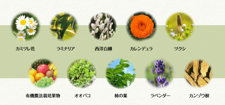 10種類のハーブ