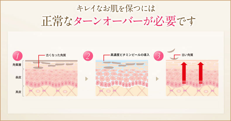 キレイなお肌を保つには正常なターンオーバーが必要です