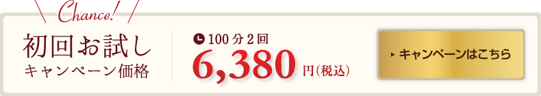 大人ニキビコース価格(PC)